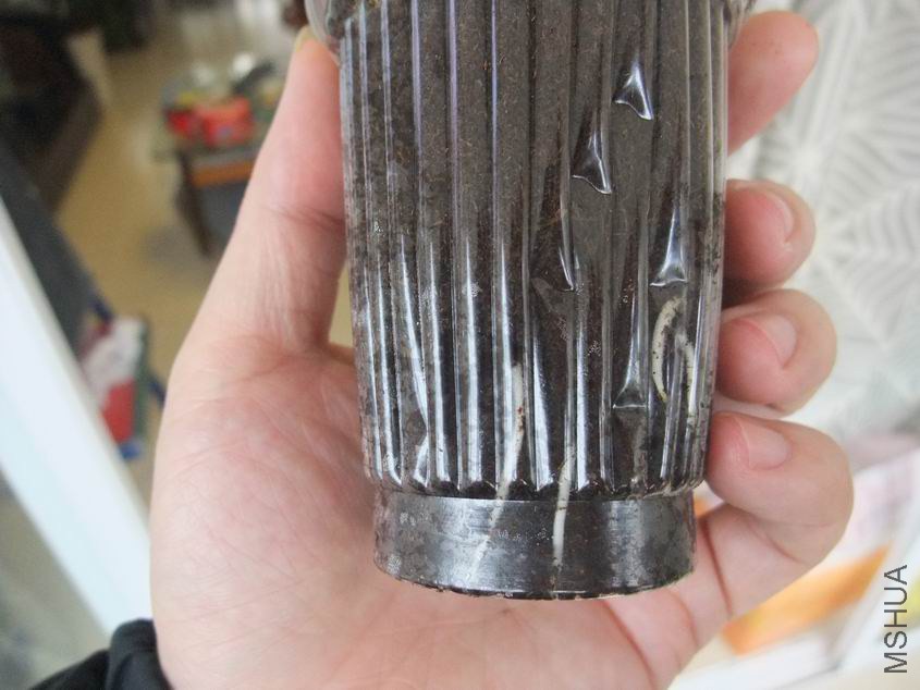 ������С DSCF8441.JPG