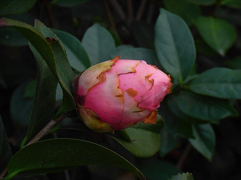 �������_