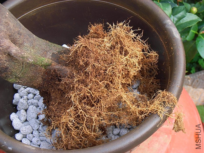 ��Ư���ĸ�ϵ