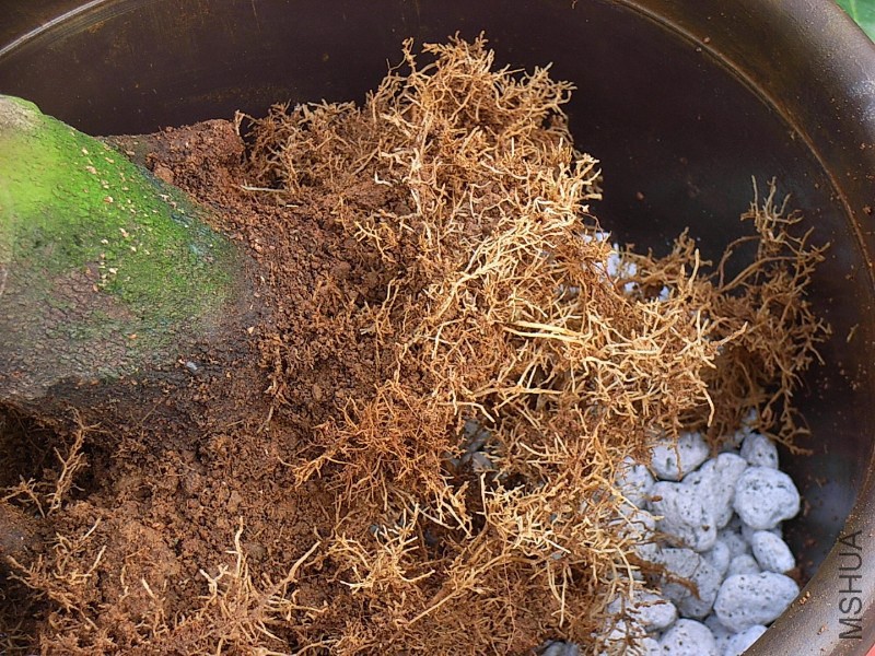 ��ϵ��Ư��