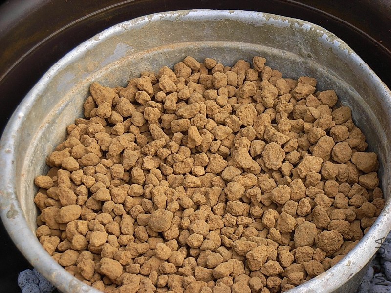 ���w��������