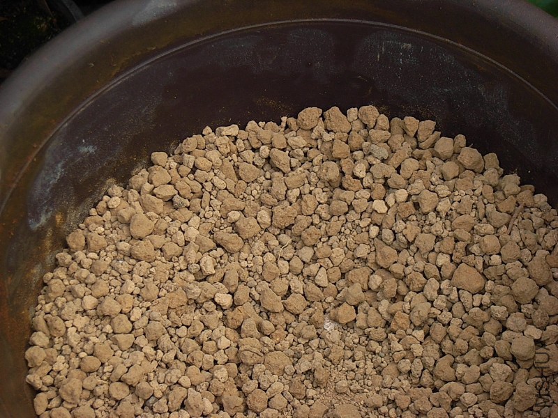 ����һ�ӳ�����