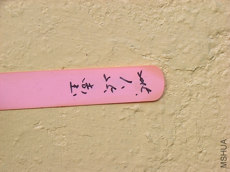 ӛ�����.ʹ�ý��|