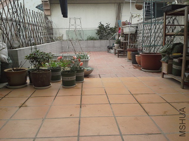 �����濴������