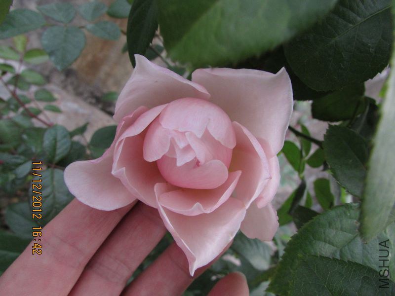 IMG_0875_nEO_IMG.jpg