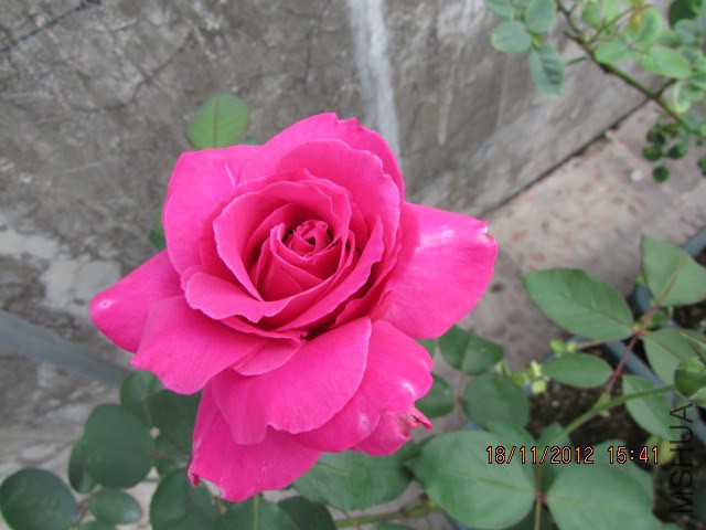 IMG_0084.JPG