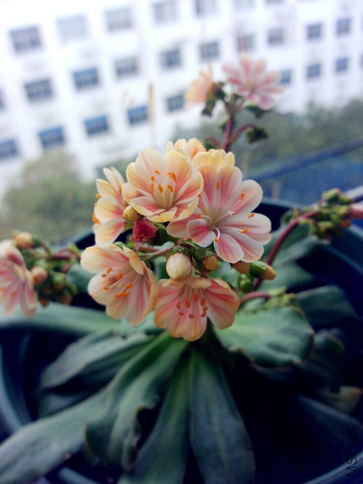 QQͼƬ20150126095116.jpg
