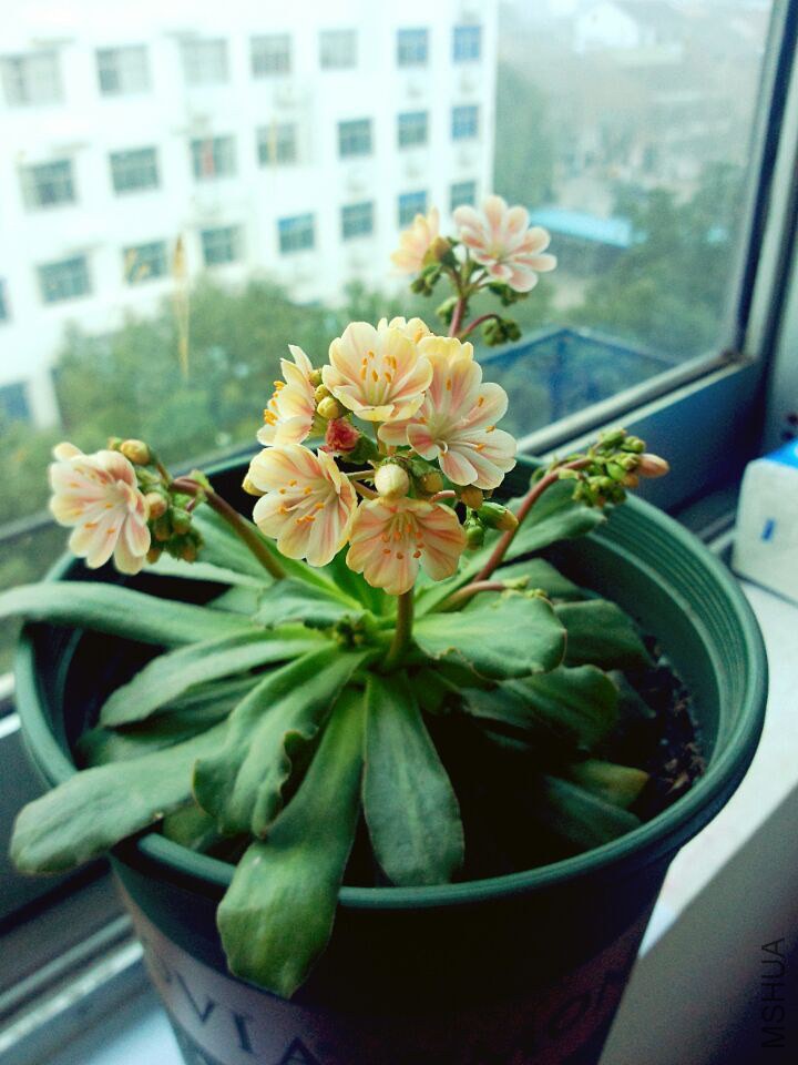 QQͼƬ20150126095121.jpg