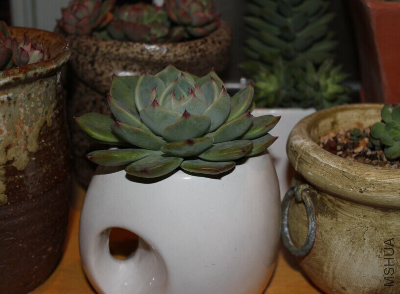 QQͼƬ20150126100609.jpg