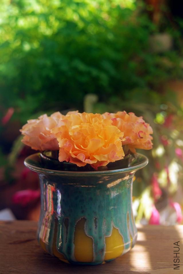 DSCF1374.jpg