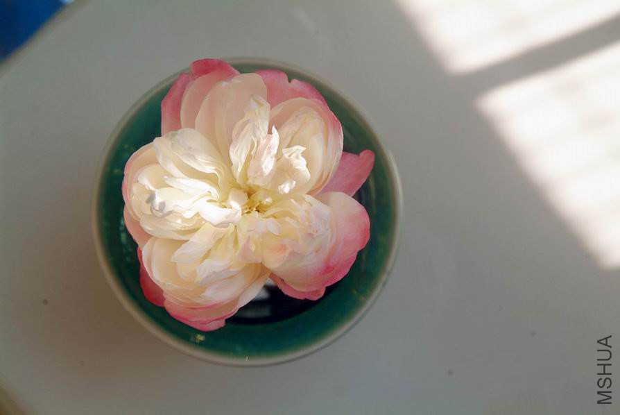 DSCF1525.JPG