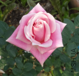 QQ��ͼ20150126152114.png