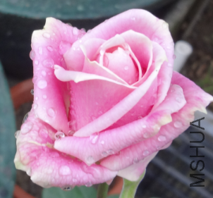 QQ��ͼ20150125125854.png