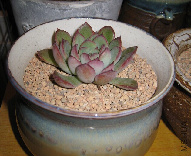 QQͼƬ20150126211243.jpg