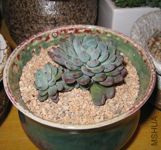 QQͼƬ20150126211300.jpg