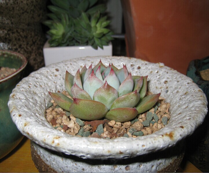 QQͼƬ20150126211305.jpg