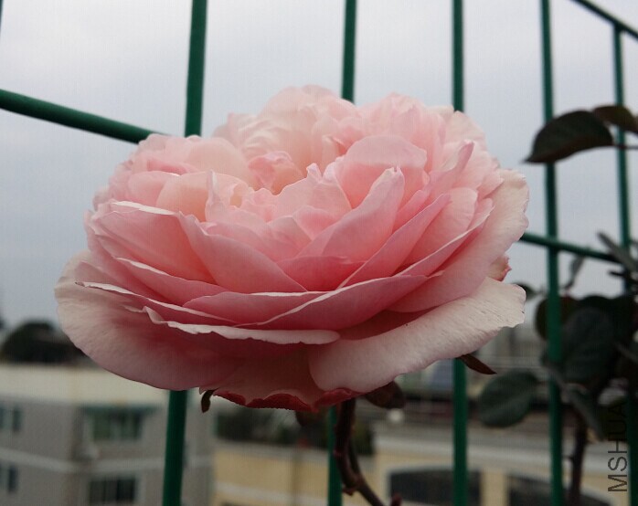 QQͼƬ20150126111756.jpg