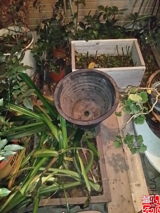 20150126_184933.jpg