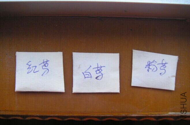 QQͼƬ20150127171758.jpg