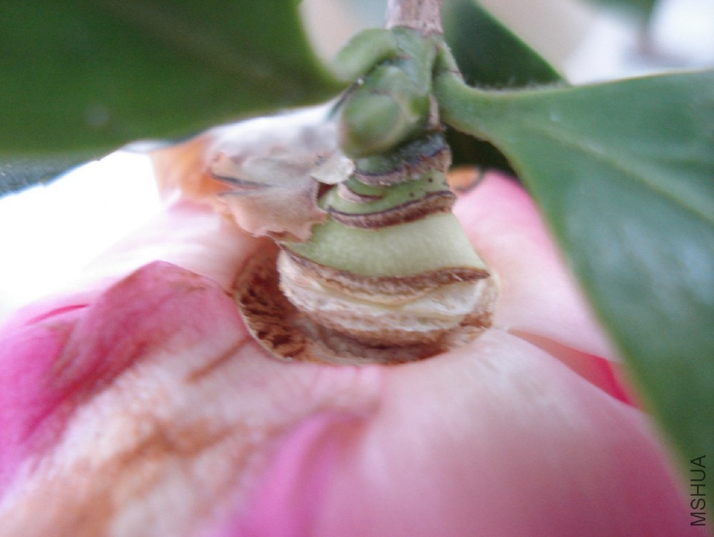 DSC003.JPG