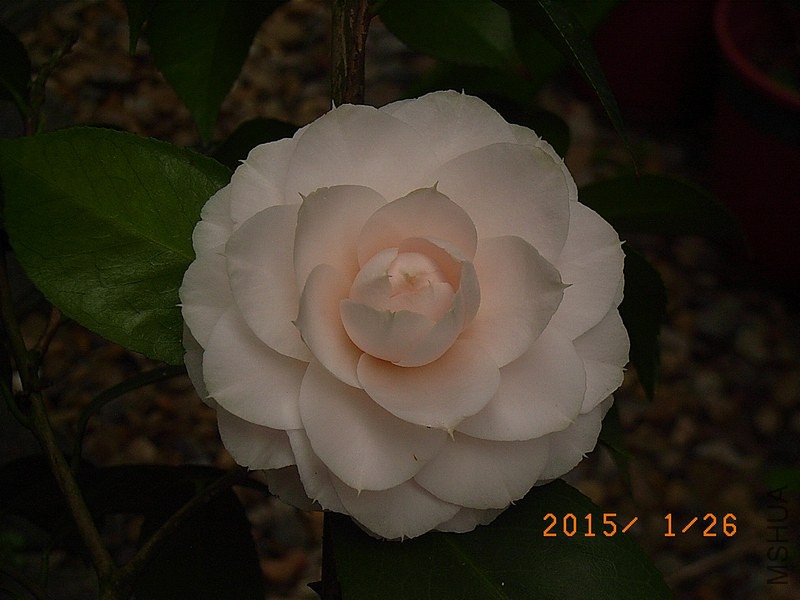 ǧ��֮��a3.JPG