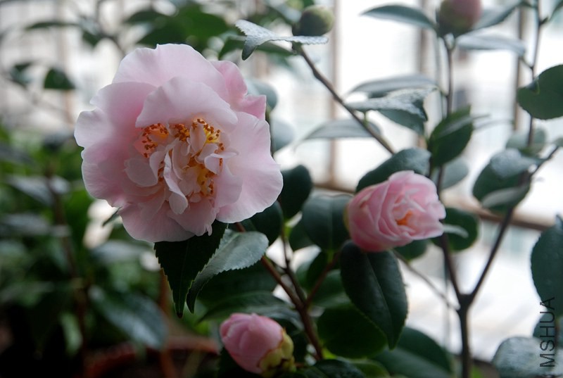 DSC_4140.JPG