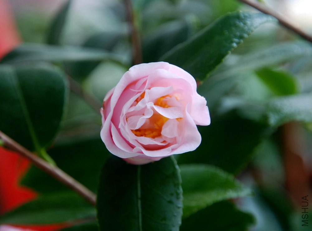 DSC_4144.JPG