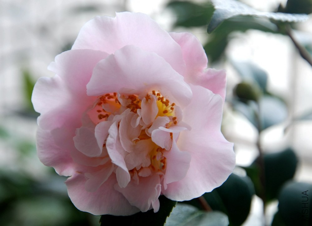 DSC_4146.JPG