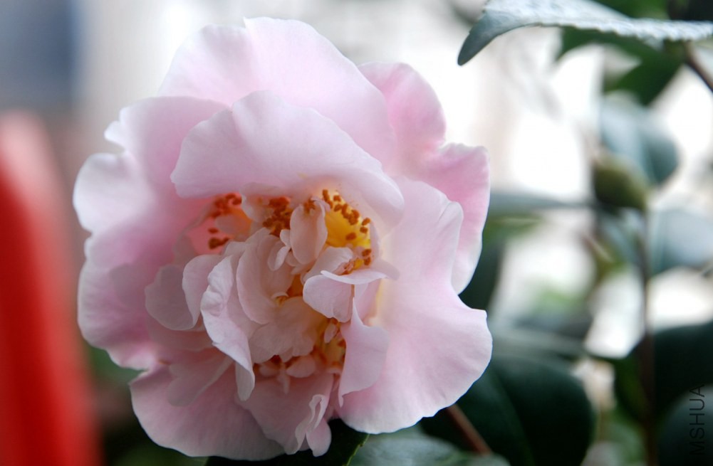 DSC_4147.JPG