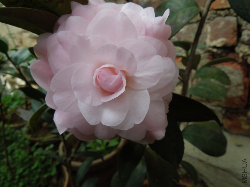 DSCN4528.JPG
