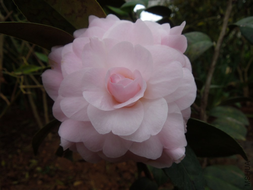 DSCN4544.JPG
