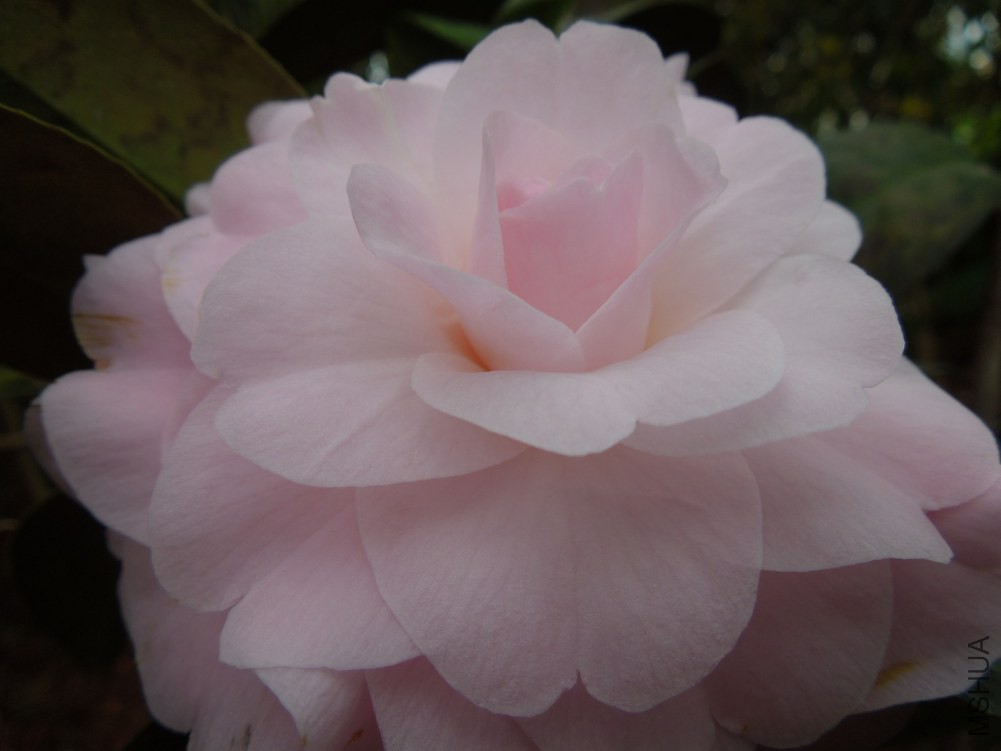 DSCN4546.JPG