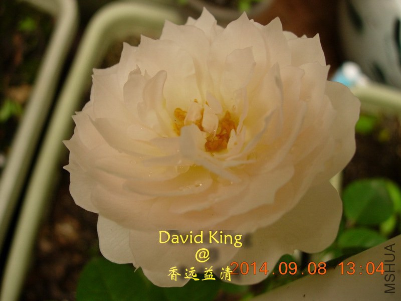 lgDSCN2122_resize.JPG