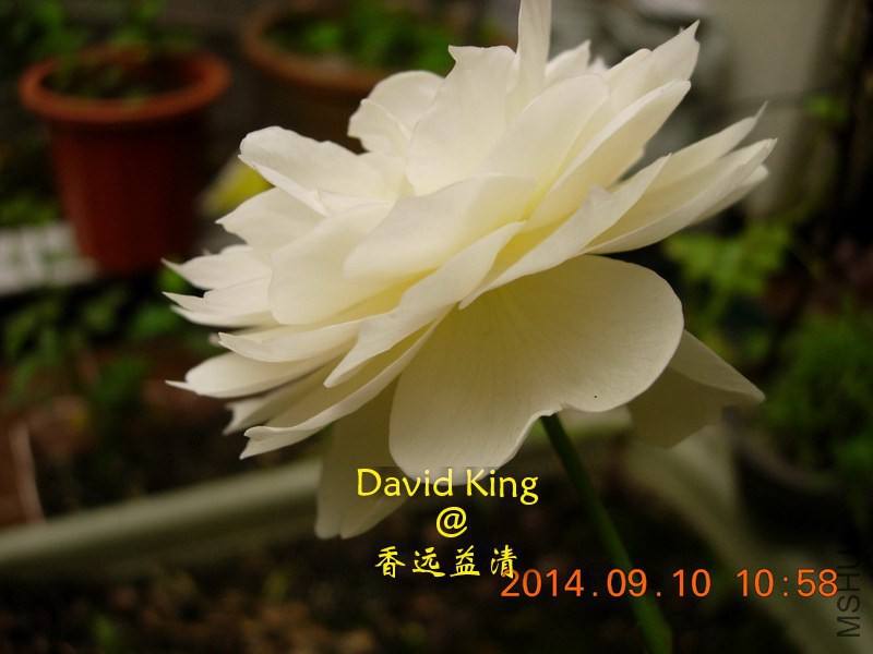 lgDSCN2225_resize.JPG