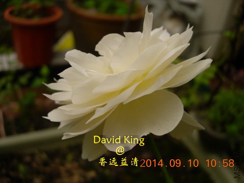 lgDSCN2227_resize.JPG