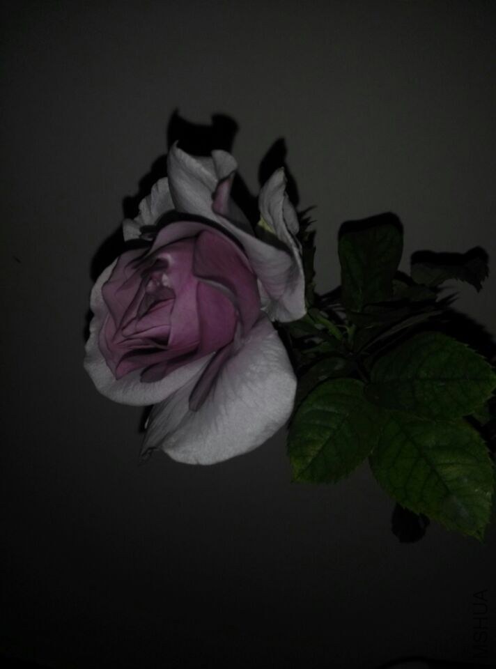 QQͼƬ20150128210733.jpg