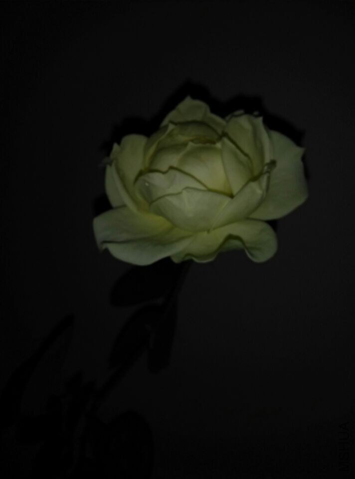 QQͼƬ20150128210749.jpg