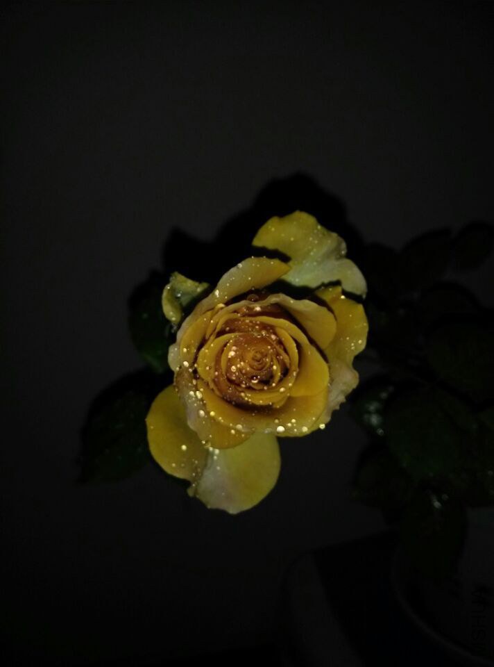 QQͼƬ20150128210743.jpg