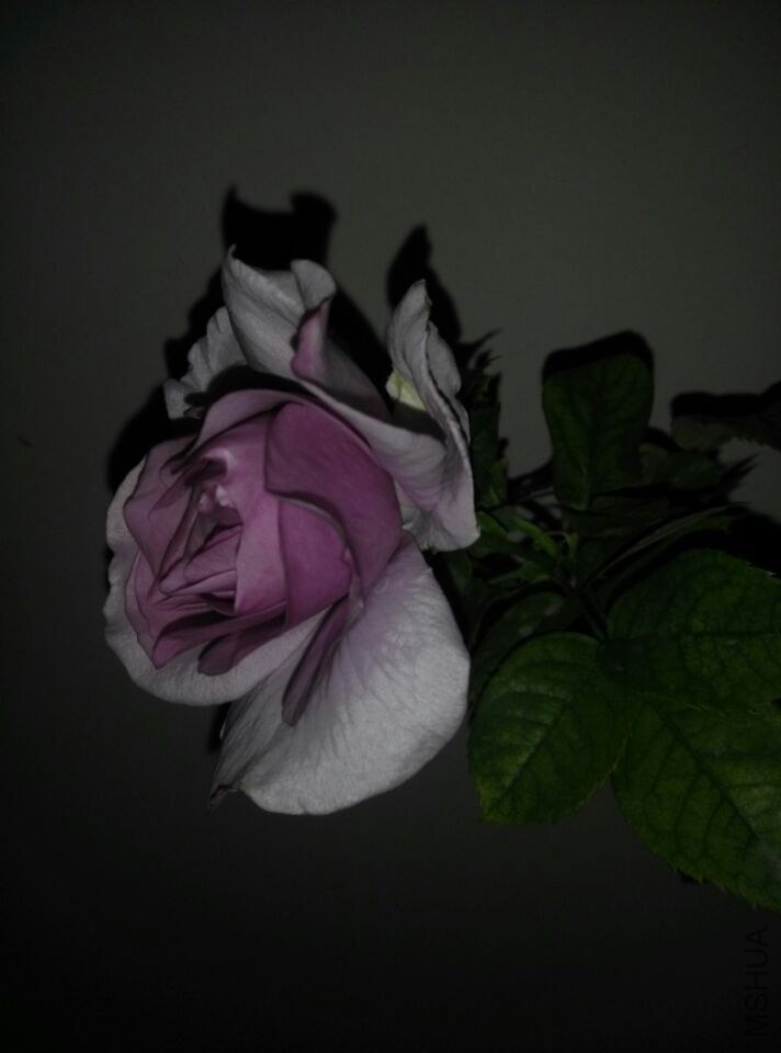 QQͼƬ20150128210804.jpg