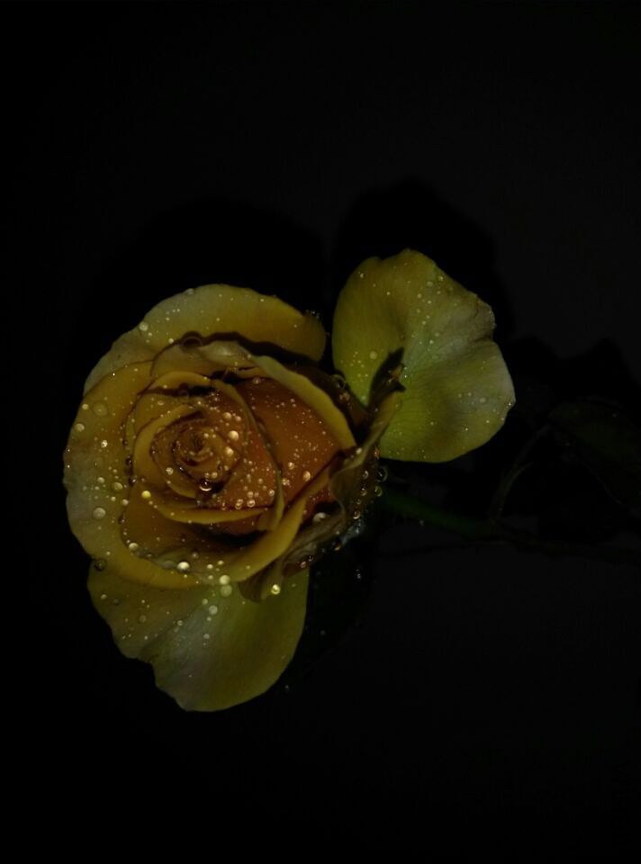 QQͼƬ20150128210755.jpg