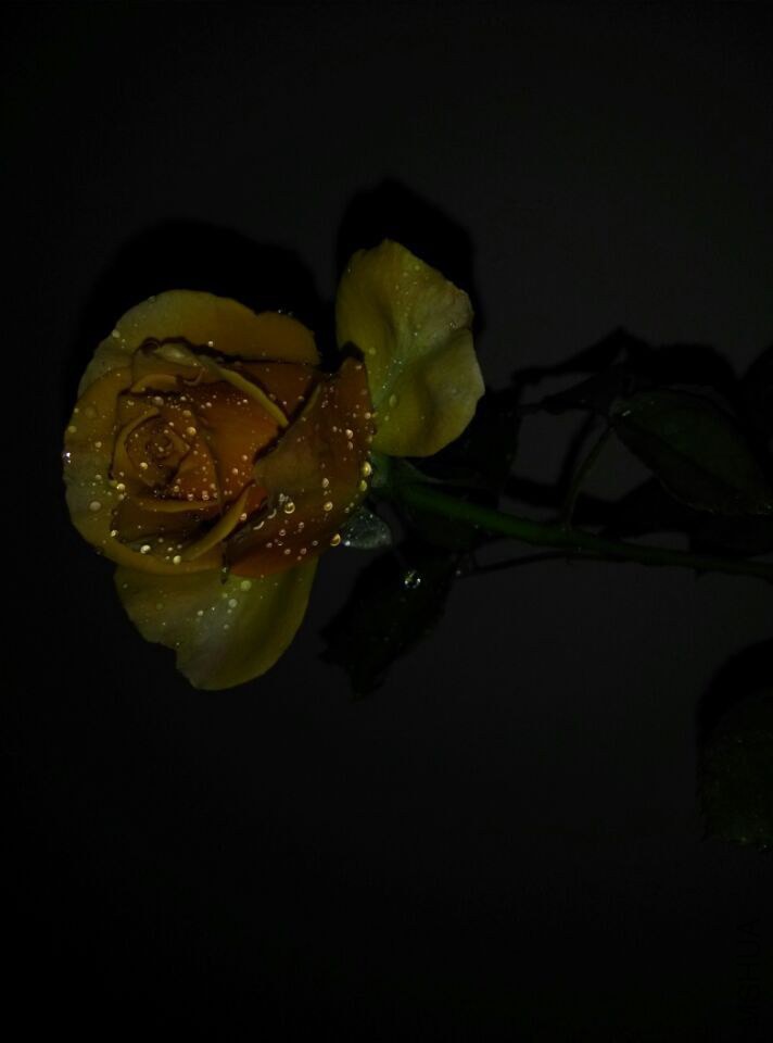 QQͼƬ20150128210831.jpg