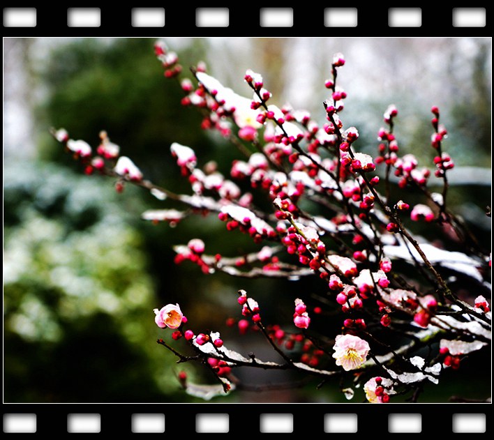 DSC07124_����_����.jpg