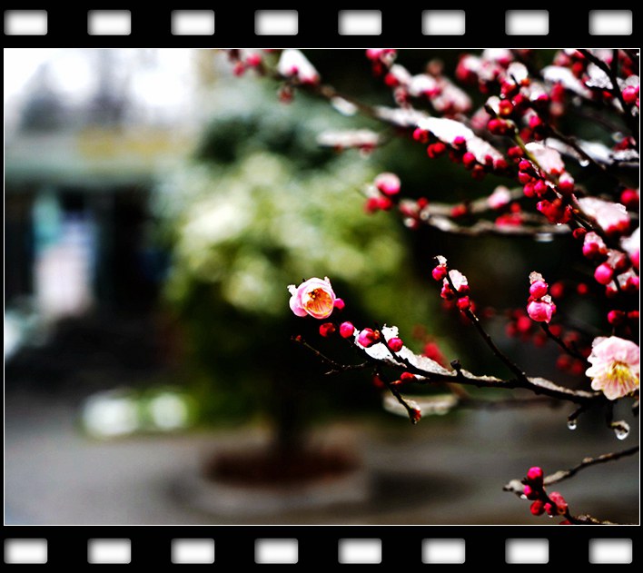 DSC07119_����_����.jpg