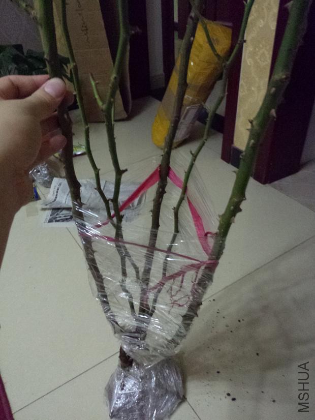 IMG20150128180736.jpg