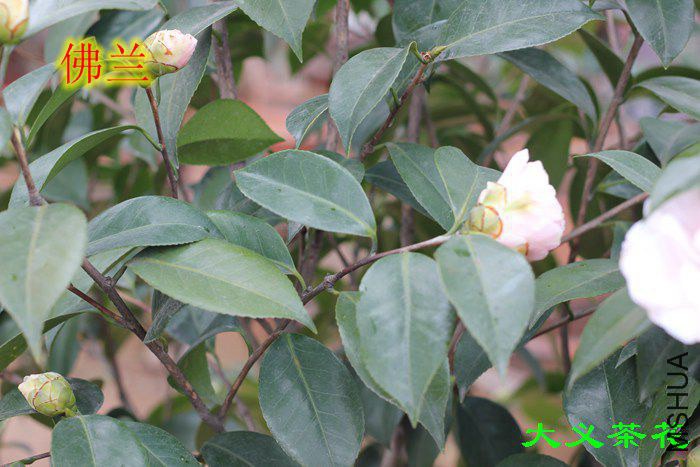 ����3 (1).jpg