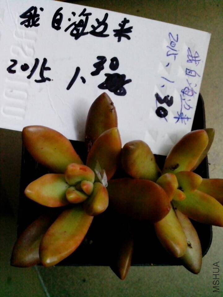 QQͼƬ20150130164115.jpg