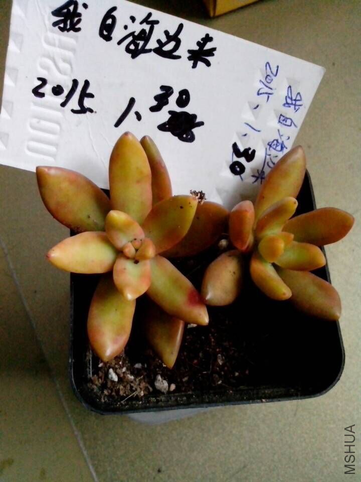 QQͼƬ20150130164135.jpg