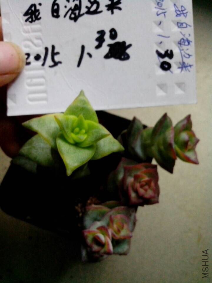 QQͼƬ20150130164150.jpg