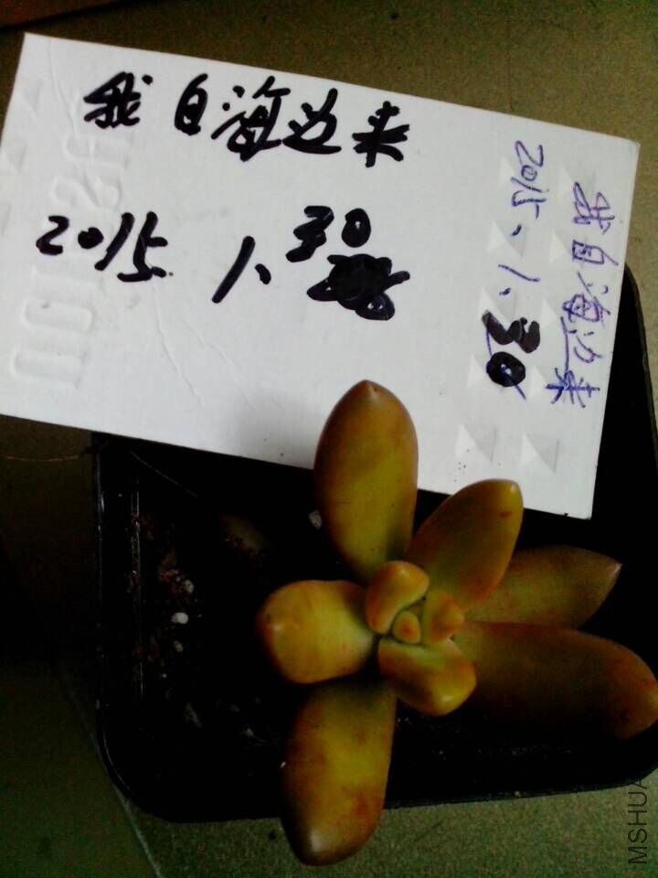QQͼƬ20150130164144.jpg