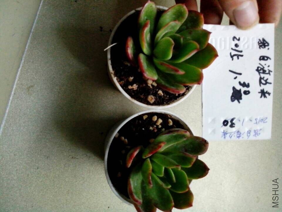 QQͼƬ20150130164156.jpg